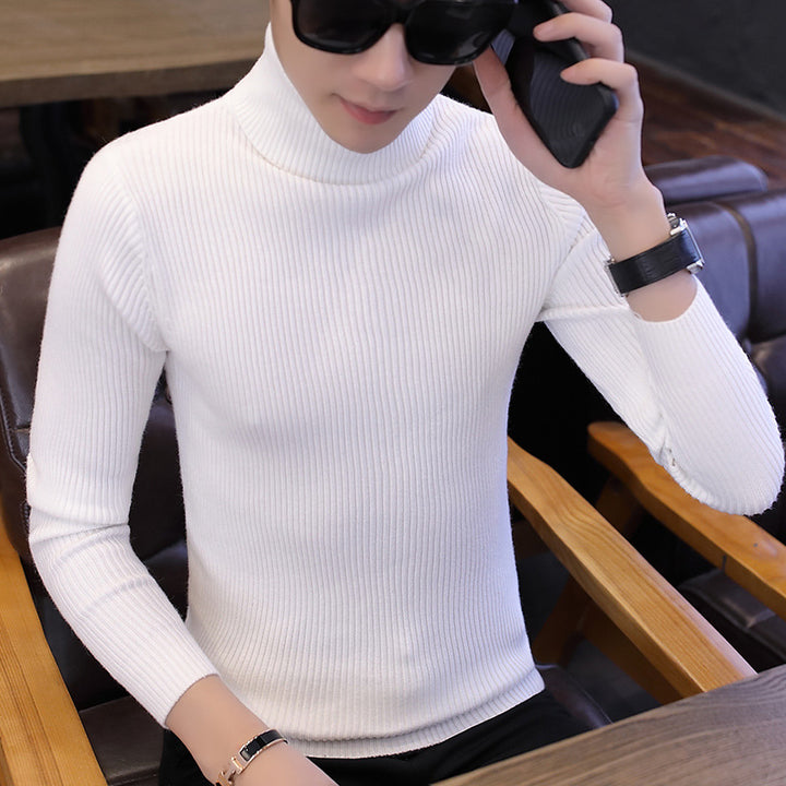 Herren Stehkragenpullover aus feinem Rippstrick Aliams