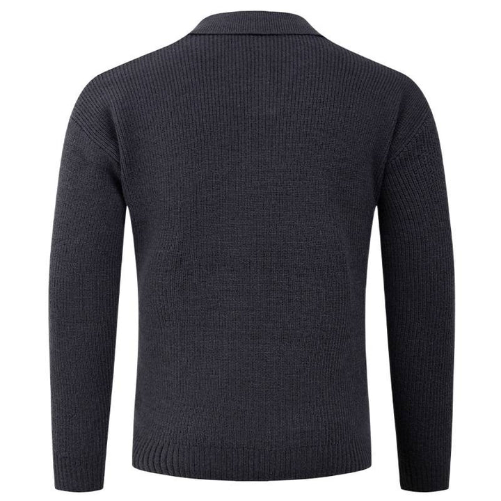 Herren Strickpullover mit klassischem Kragen und strukturierter Optik Aliams