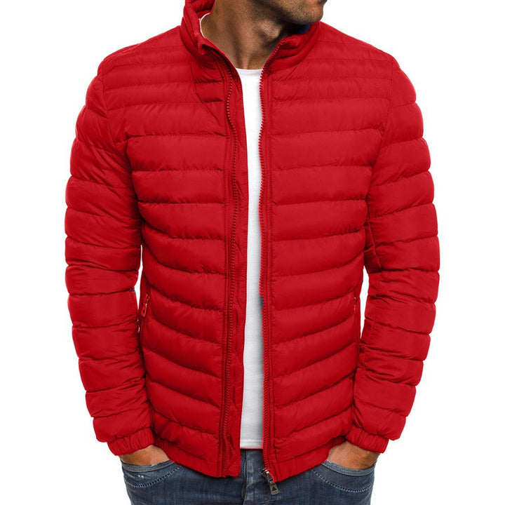Herren Leichte Steppjacke mit hohem Kragen und elastischen Bündchen Aliams