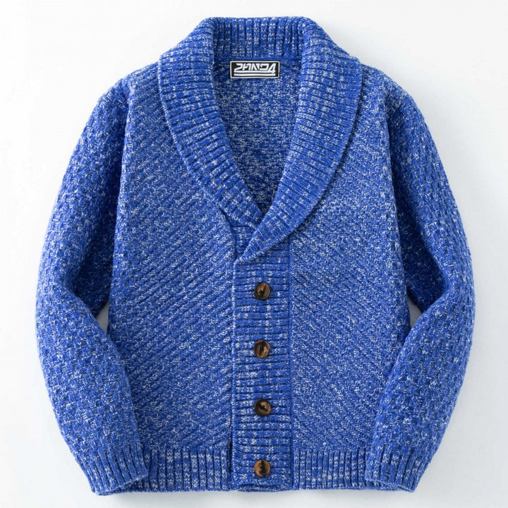 Herren Strickjacke mit modernem Zopfmuster und Knopfdetails Aliams