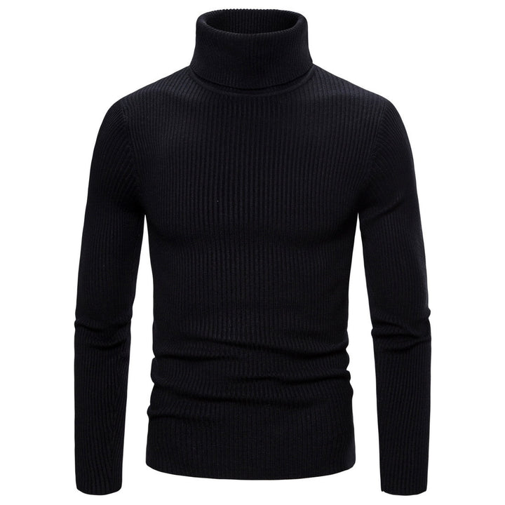 Herren Stehkragen Pullover aus feiner Rippenstrick Aliams