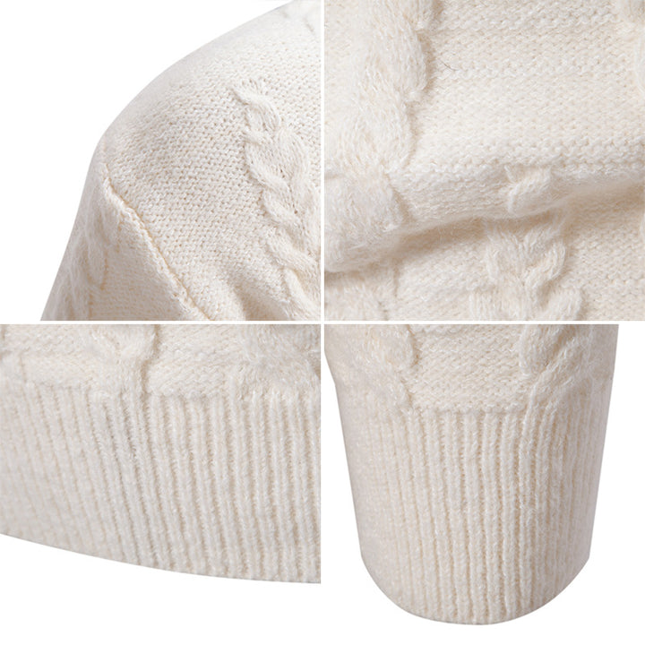 Herren Strickpullover mit klassischem Zopfdesign und hohem Kragen Aliams