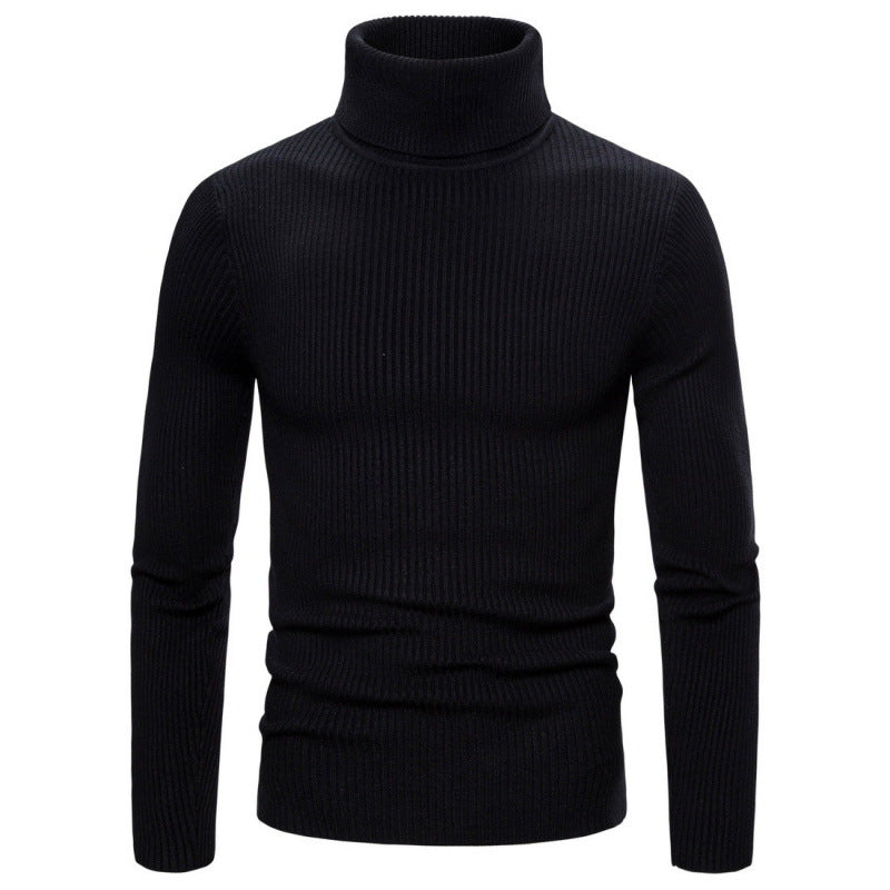 Herren Rollkragenpullover mit strukturiertem Rippdesign Aliams