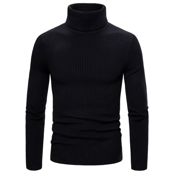 Herren Rollkragenpullover mit strukturiertem Rippdesign Aliams