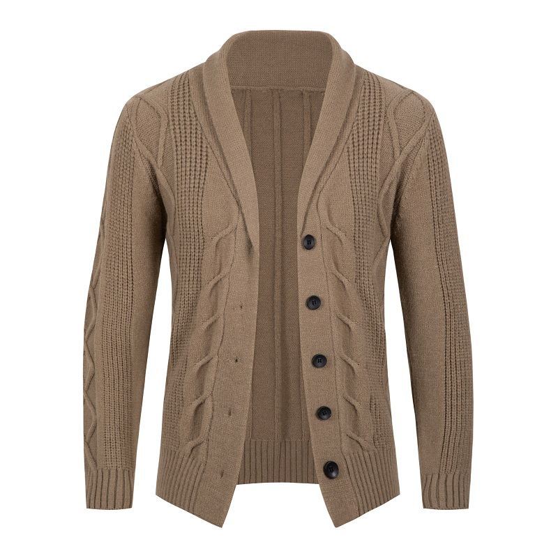 Herren Strickjacke mit modischem Zopfmuster und strukturierter Textur Aliams