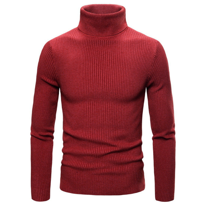 Herren Rollkragenpullover mit strukturiertem Rippdesign Aliams