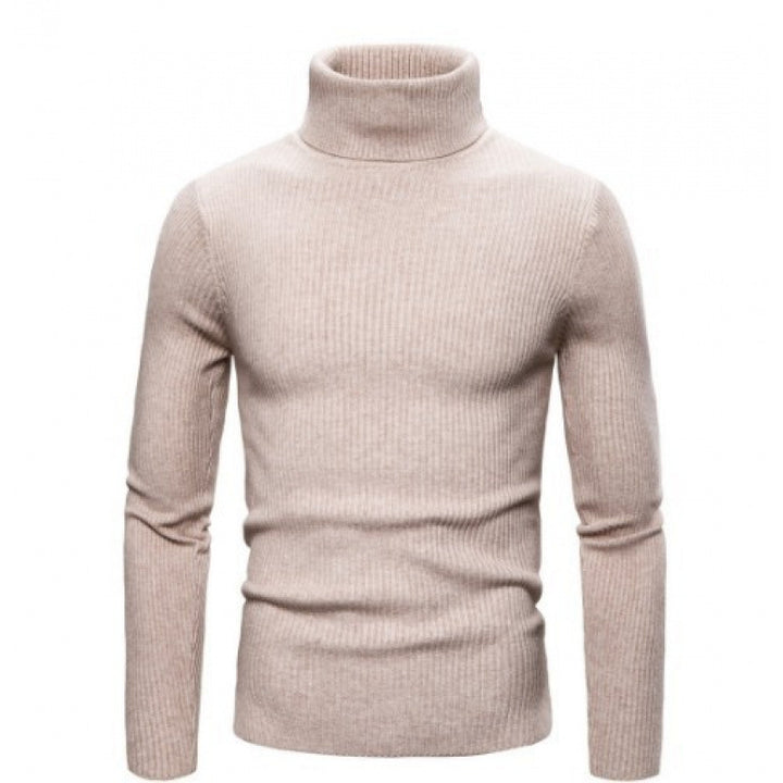 Herren Rollkragenpullover mit feinem Rippenstrick Aliams