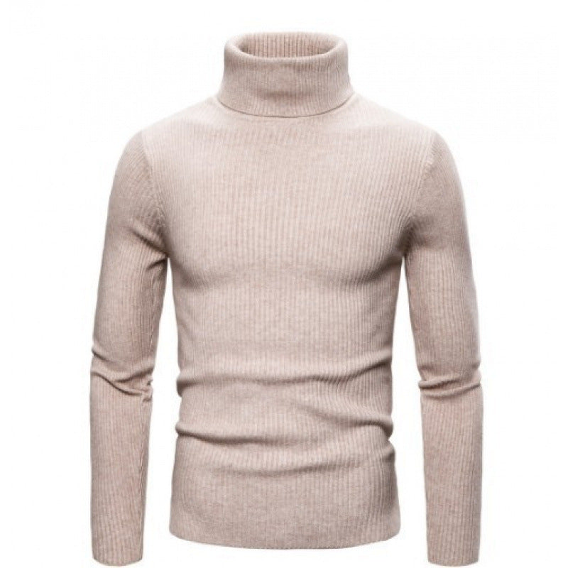 Herren Rollkragenpullover mit strukturiertem Rippdesign Aliams