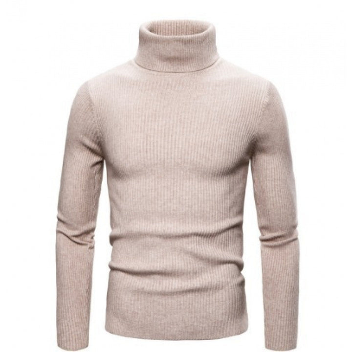 Herren Rollkragenpullover mit strukturiertem Rippdesign Aliams