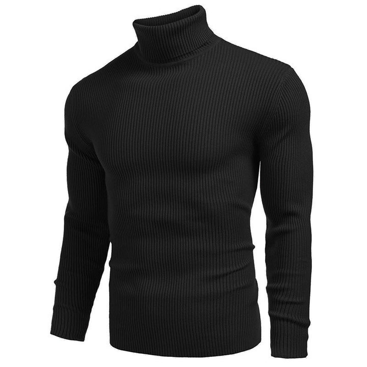 Herren Rollkragenpullover mit strukturiertem Rippdesign Aliams