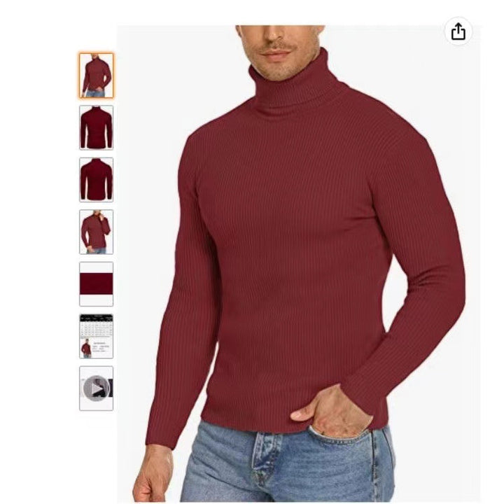 Herren Stehkragen Pullover aus ribbeltem Strick Aliams