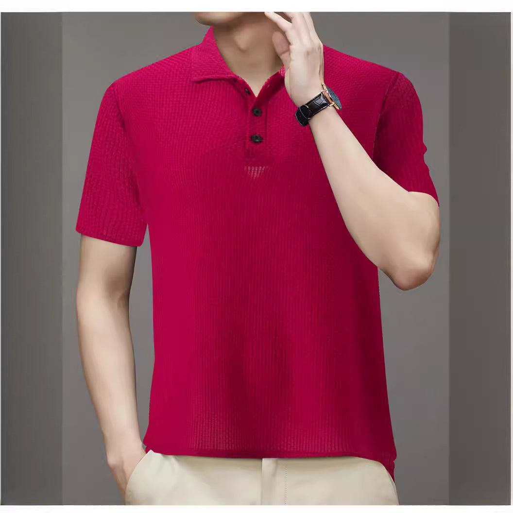 Herren Struktur Polo Shirt Aliams
