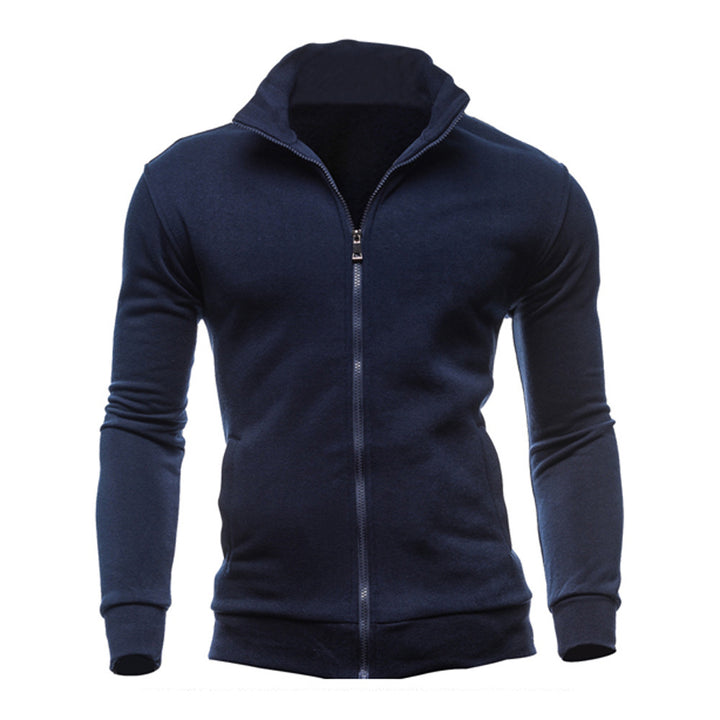 Herren sportlicher Stehkragenpullover Aliams