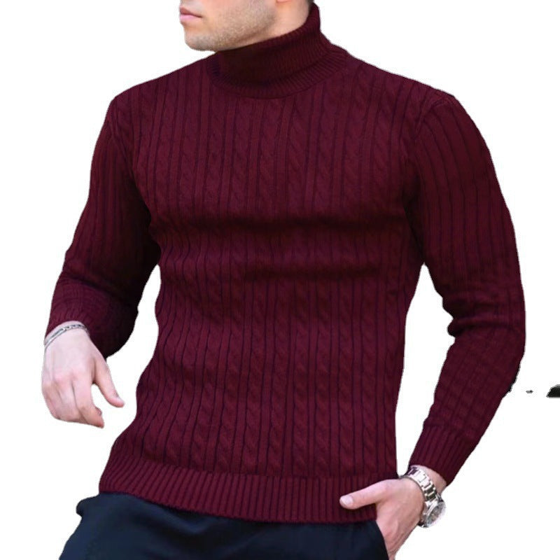 Herren Zopfmuster Rollkragenpullover Aliams