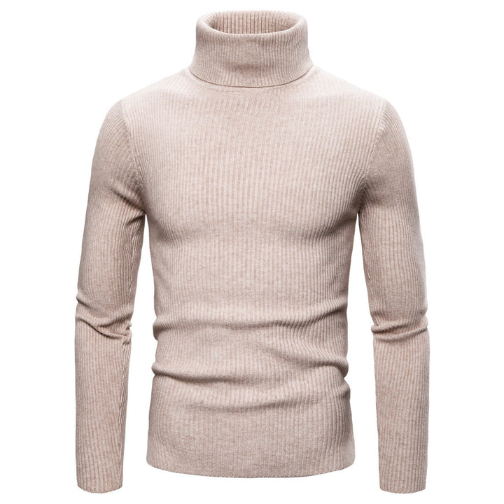 Herren Stehkragen Pullover aus feiner Rippenstrick Aliams