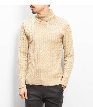 Herren Strickpullover mit hohem Kragen und Zopfmuster Aliams