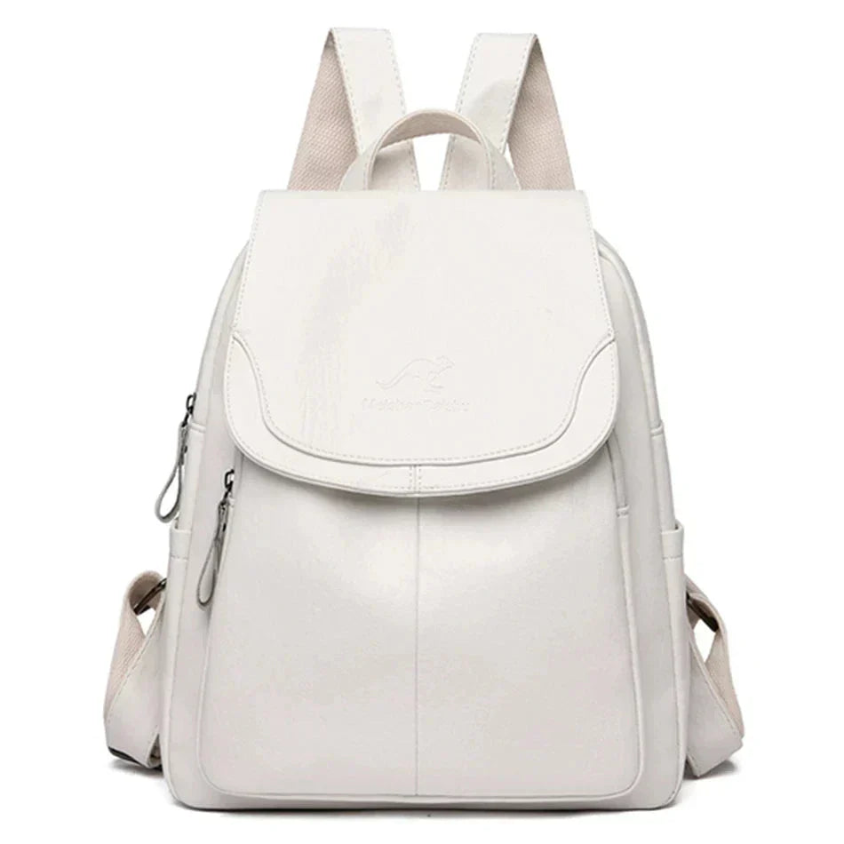 Aliams | Diebstahlsichere Leder Rucksack
