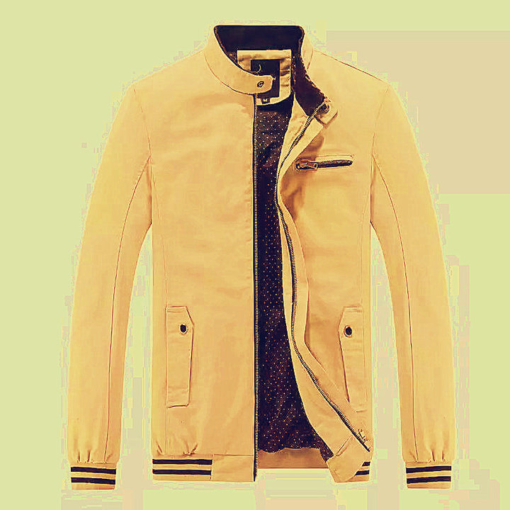 Herren sportliche Übergangsjacke mit modischem Kragen Aliams