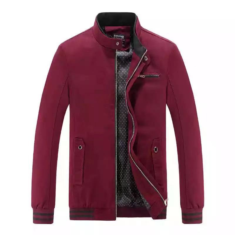 Herren sportliche Übergangsjacke mit modischem Kragen Aliams