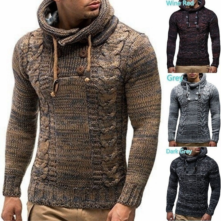 Herren Strickpullover mit hochschließendem Kragen und markantem Zopfmuster Aliams