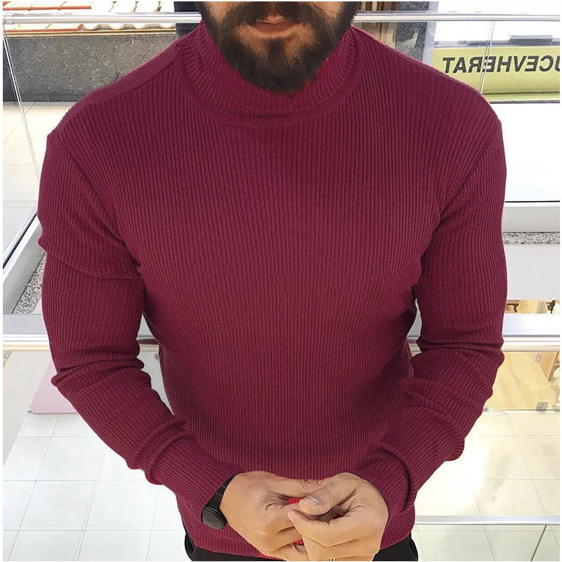 Herren Hochwertiger Strickrollkragenpullover Aliams