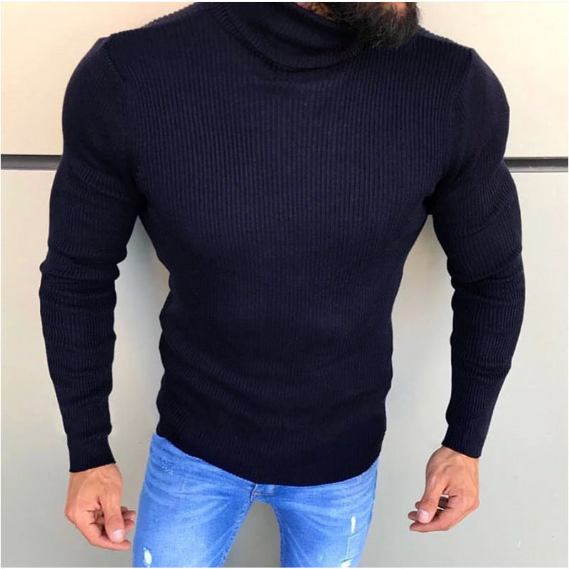 Herren Hochwertiger Strickrollkragenpullover Aliams