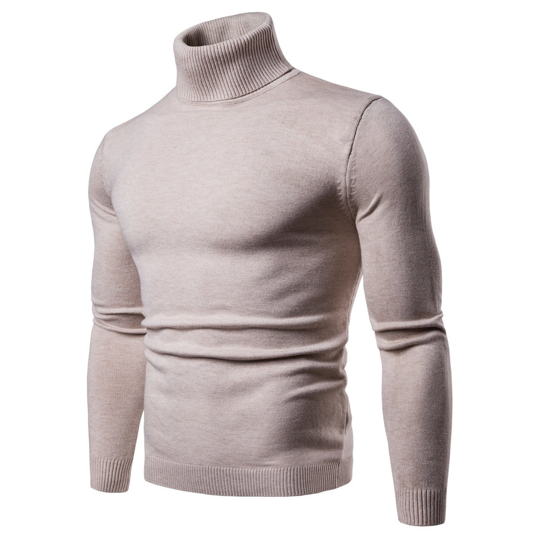 Herren Rollkragenpullover aus weicher Merinowolle mit eleganter Struktur Aliams