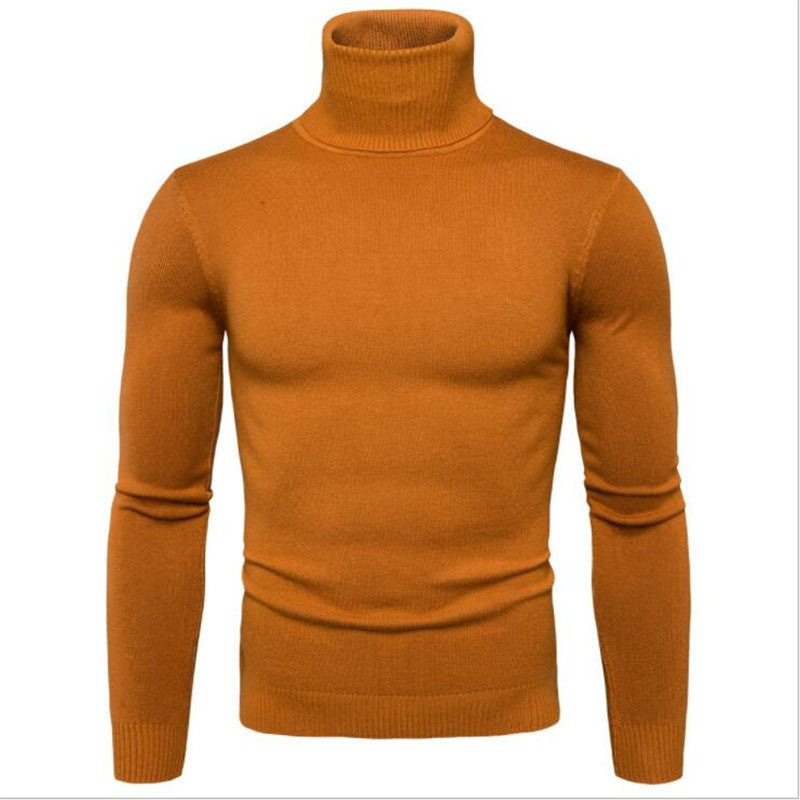 Herren Rollkragenpullover aus feinem Strick Aliams