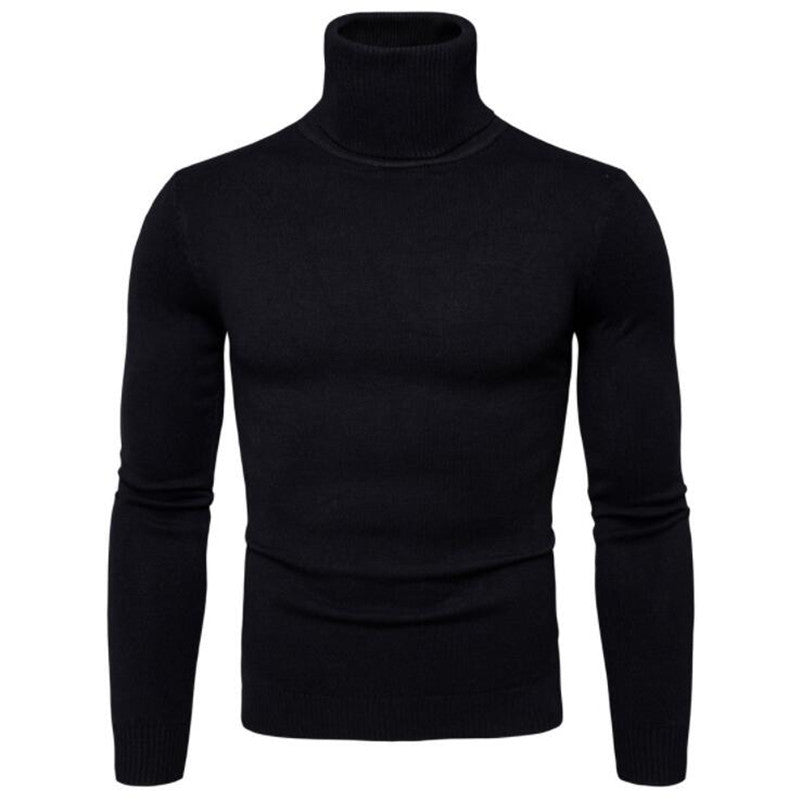 Herren Rollkragenpullover aus feinem Strick Aliams