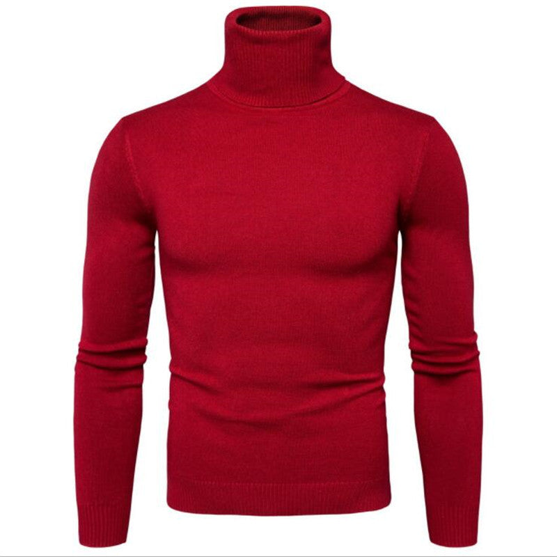 Herren Rollkragenpullover aus feiner Strickware Aliams