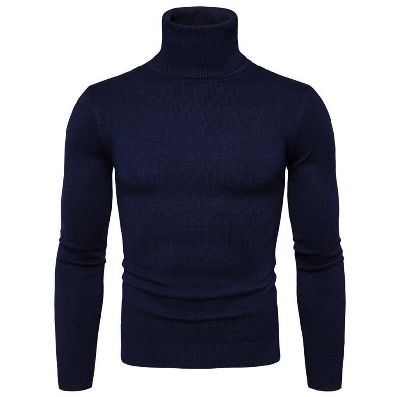 Herren Rollkragenpullover aus feiner Strickware Aliams