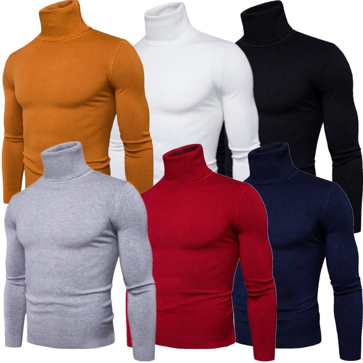 Herren Rollkragenpullover aus weicher Merinowolle mit eleganter Struktur Aliams