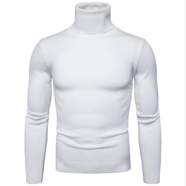 Herren Rollkragenpullover aus feinem Strick Aliams