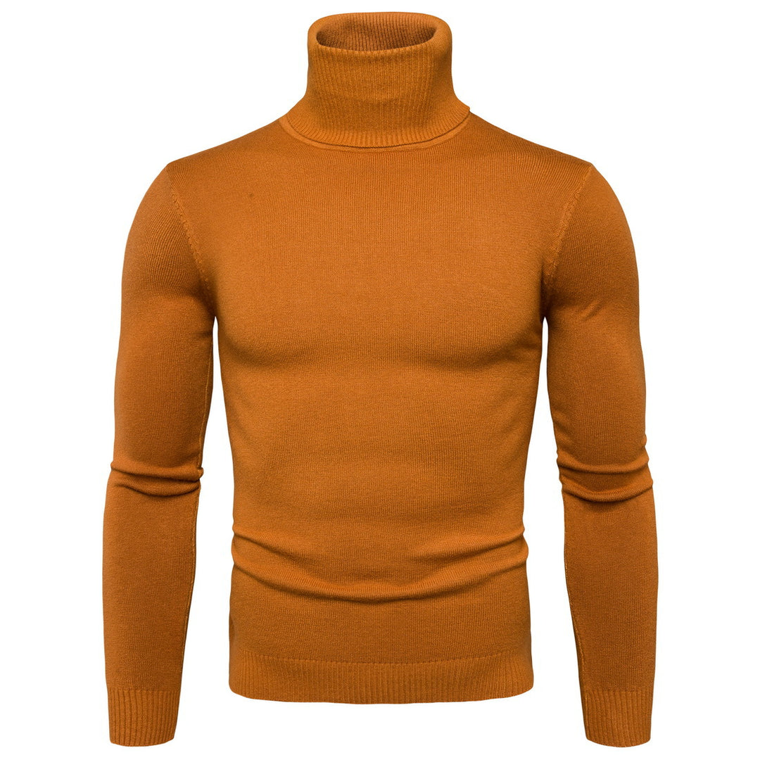 Herren Rollkragenpullover aus weichem Strick Aliams