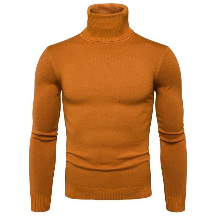Herren Rollkragenpullover aus weichem Strick Aliams
