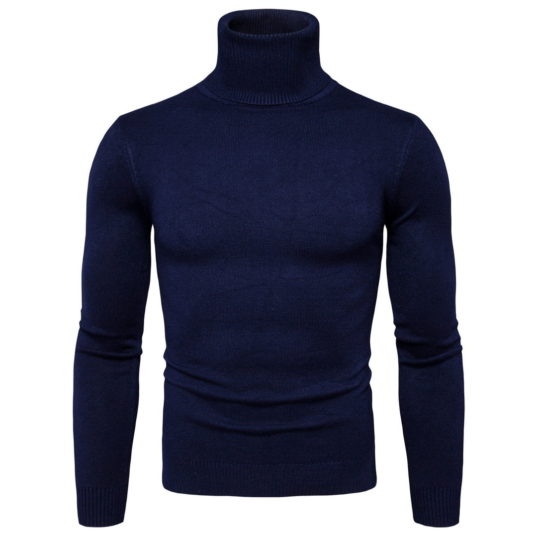 Herren Rollkragenpullover aus weicher Merinowolle mit eleganter Struktur Aliams