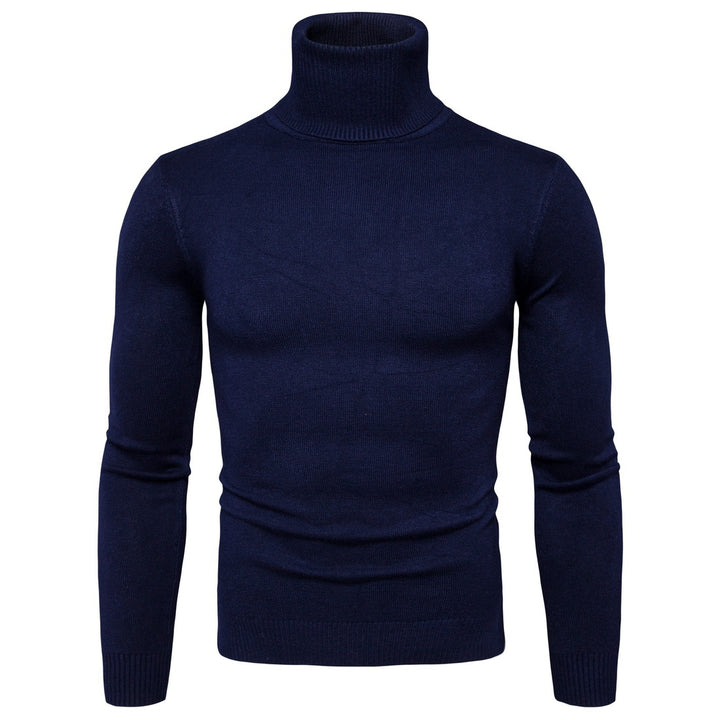 Herren Rollkragenpullover aus weicher Merinowolle mit eleganter Struktur Aliams