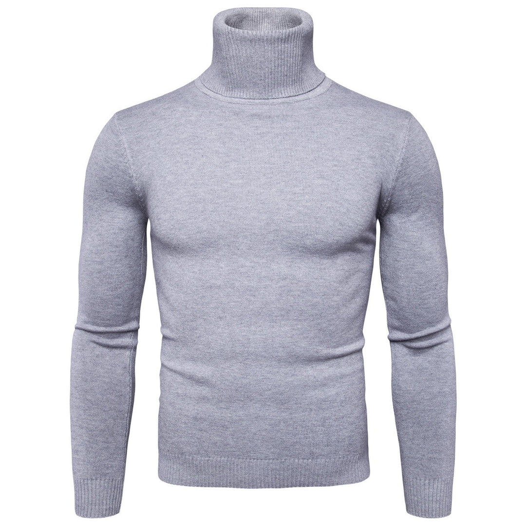 Herren Rollkragenpullover aus weicher Merinowolle mit eleganter Struktur Aliams