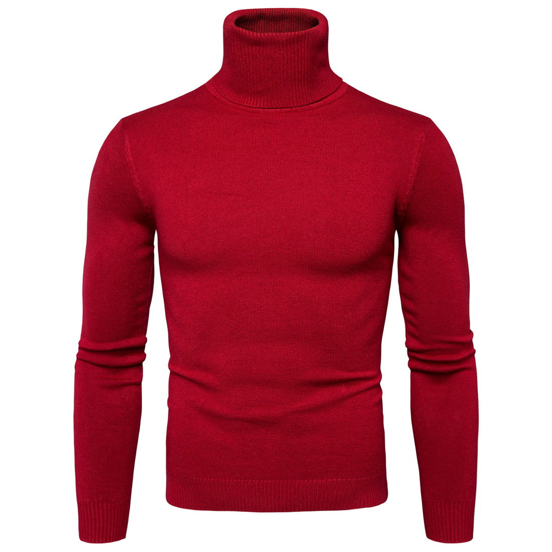 Herren Rollkragenpullover aus weicher Merinowolle mit eleganter Struktur Aliams