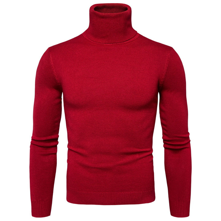 Herren Rollkragenpullover aus weichem Strick Aliams