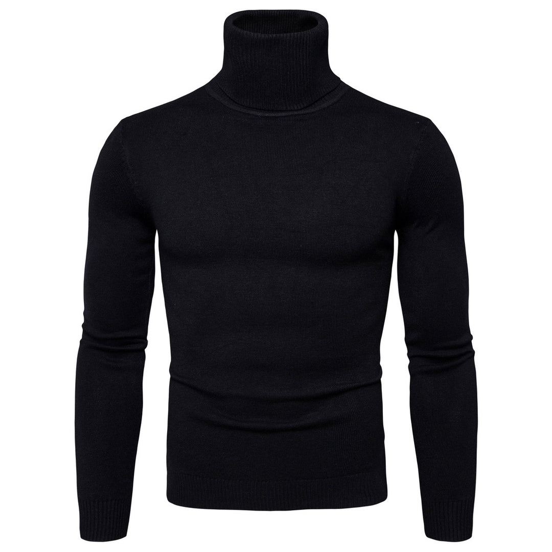 Herren Rollkragenpullover aus weicher Merinowolle mit eleganter Struktur Aliams