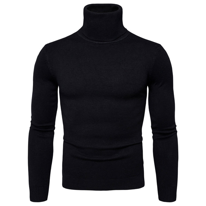 Herren Rollkragenpullover aus weichem Strick Aliams