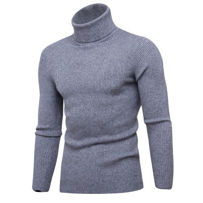 Herren Rollkragenpullover aus feinem Rippstrick Aliams