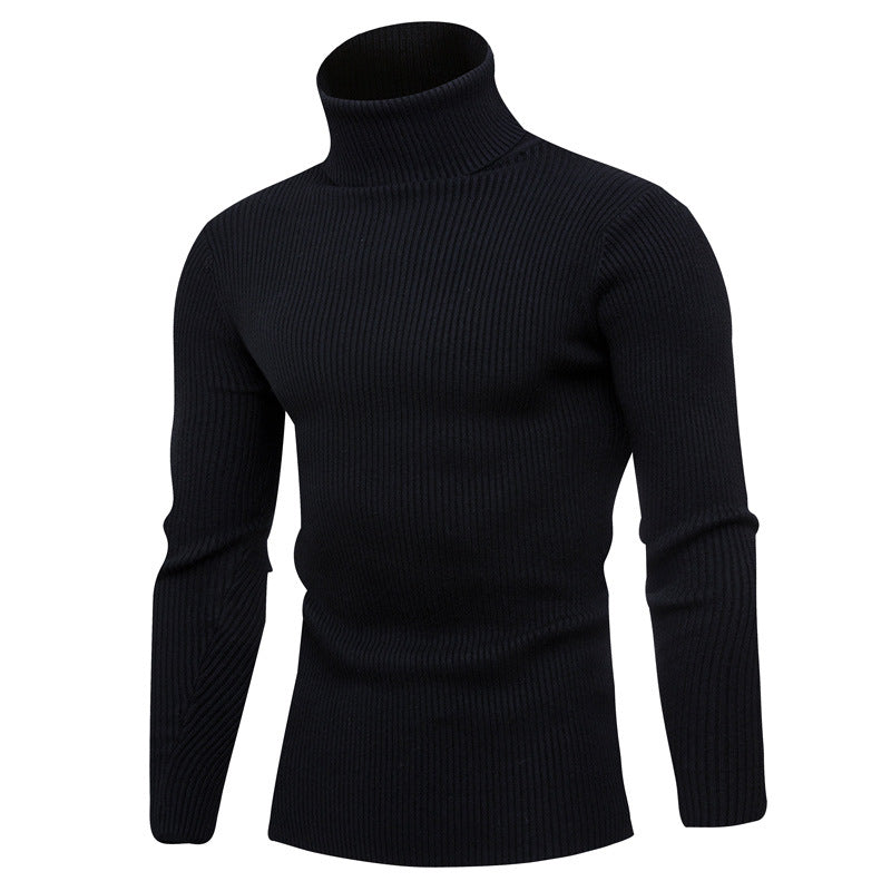 Herren Rollkragenpullover aus feinem Rippstrick Aliams