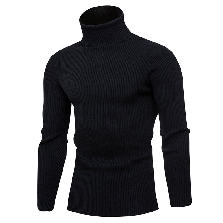Herren Rollkragenpullover aus feinem Rippstrick Aliams
