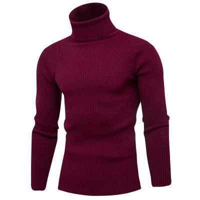 Herren Rollkragenpullover aus feinem Rippstrick Aliams