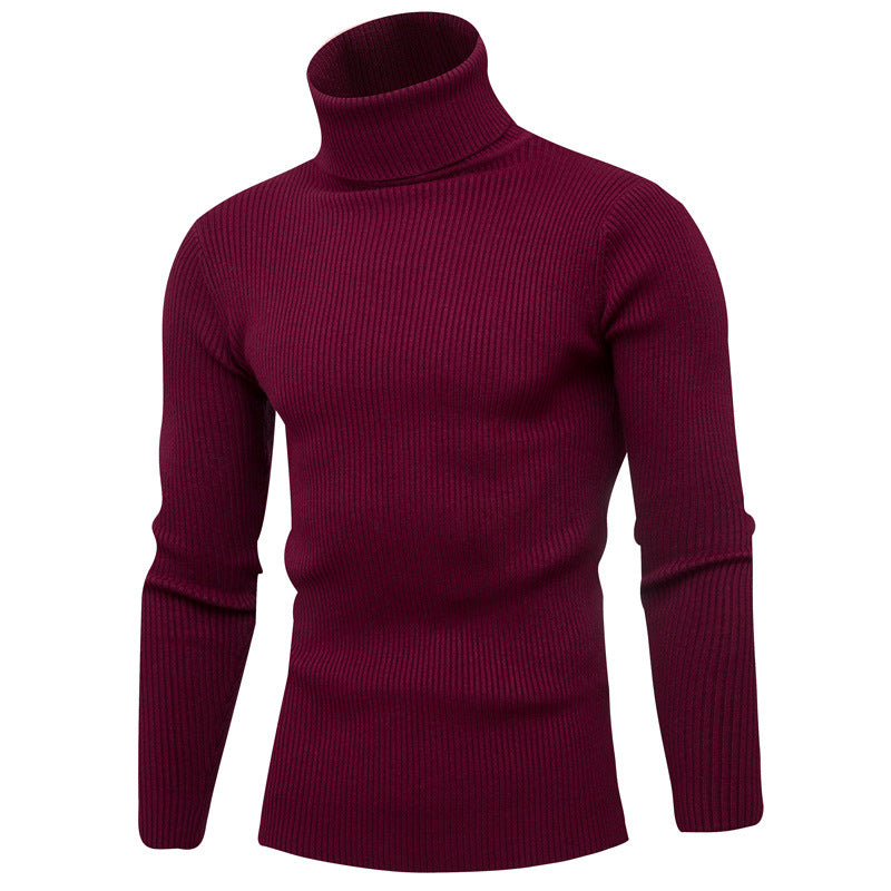 Herren Rollkragenpullover aus feinem Rippstrick Aliams