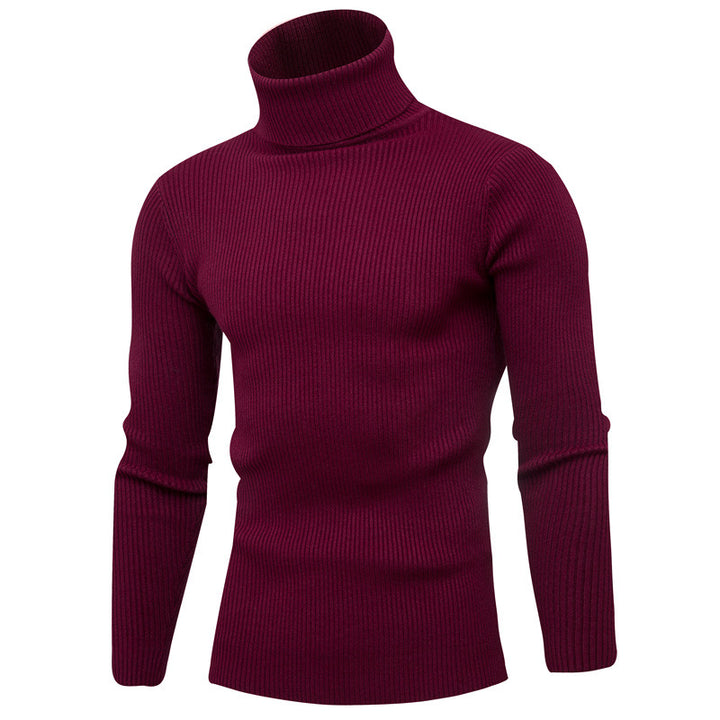 Herren Rollkragenpullover aus feinem Rippstrick Aliams
