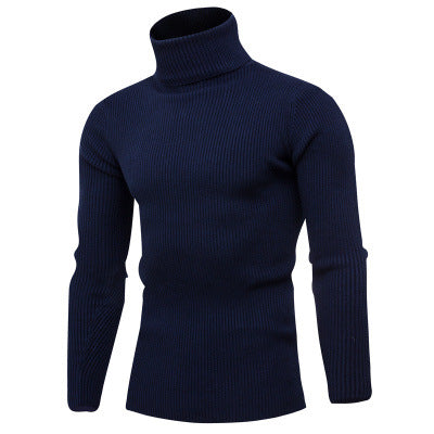 Herren Rollkragenpullover aus feinem Rippstrick Aliams