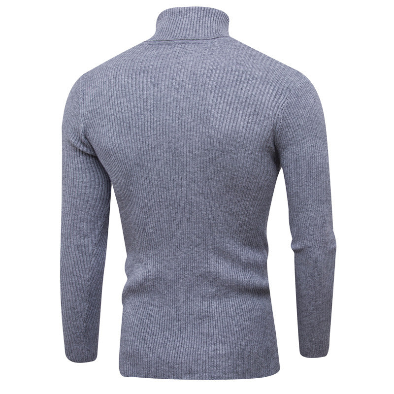 Herren Rollkragenpullover aus feinem Rippstrick Aliams